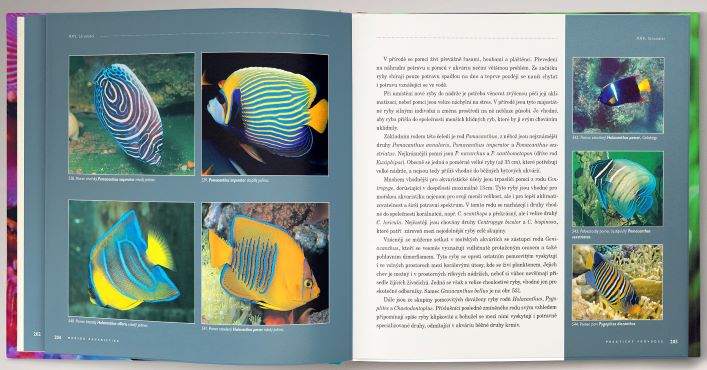 Nová kniha 'Mořská akvaristika'!